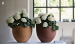 Vaso da fiori Atelier Vierkant U - immagine 4