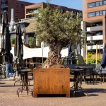 Vaso da fiori CARREZ con gambe quadrato - corten - immagine 6