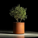 CIRCUM vaso da fiori su ruote - corten - immagine 3