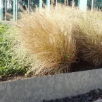 Bordatura da giardino in acciaio zincato, bordo superiore appiattito, dritto - immagine 5